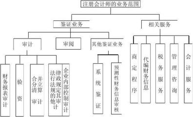 2011注册会计师考试审计-背诵