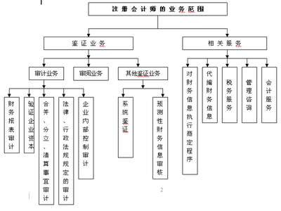 2011注册会计师考试审计第二章第二节-注册会计师-学易网校