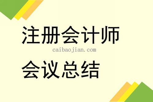 注册会计师工作会议总结讲话3篇